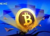 Huge Crash On The Crypto Market – What Will Happen Next?